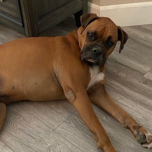 Meet your Posher, Norma